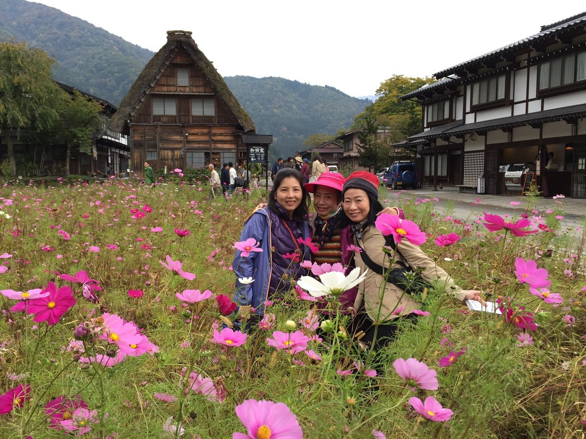 Beautiful cosmos flowers in Japan