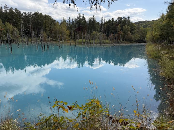 Blue Pond