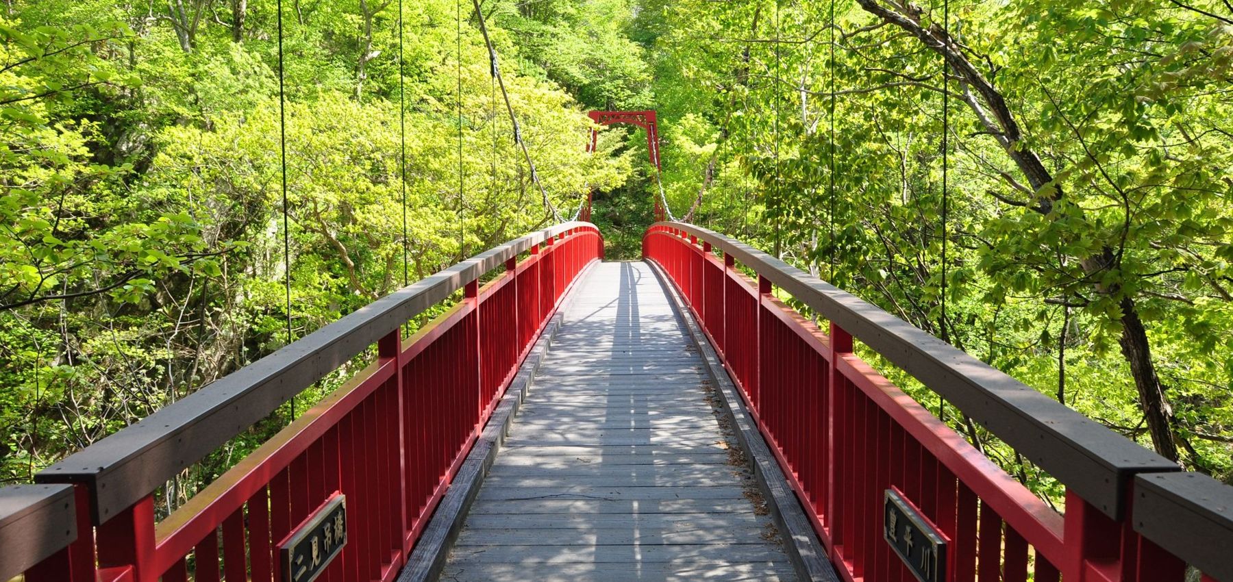 Futami Suspension Bridge · forest walk