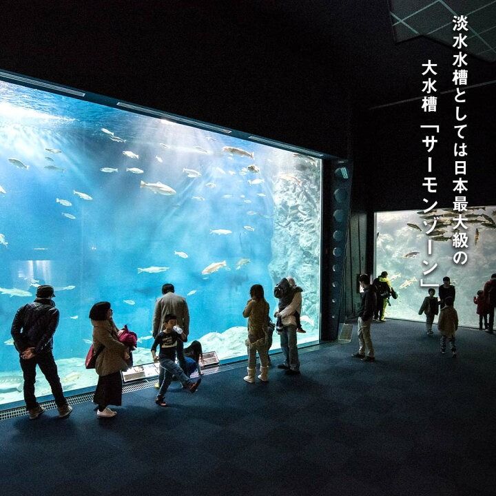 Chitose Salmon Aquarium · underwater world